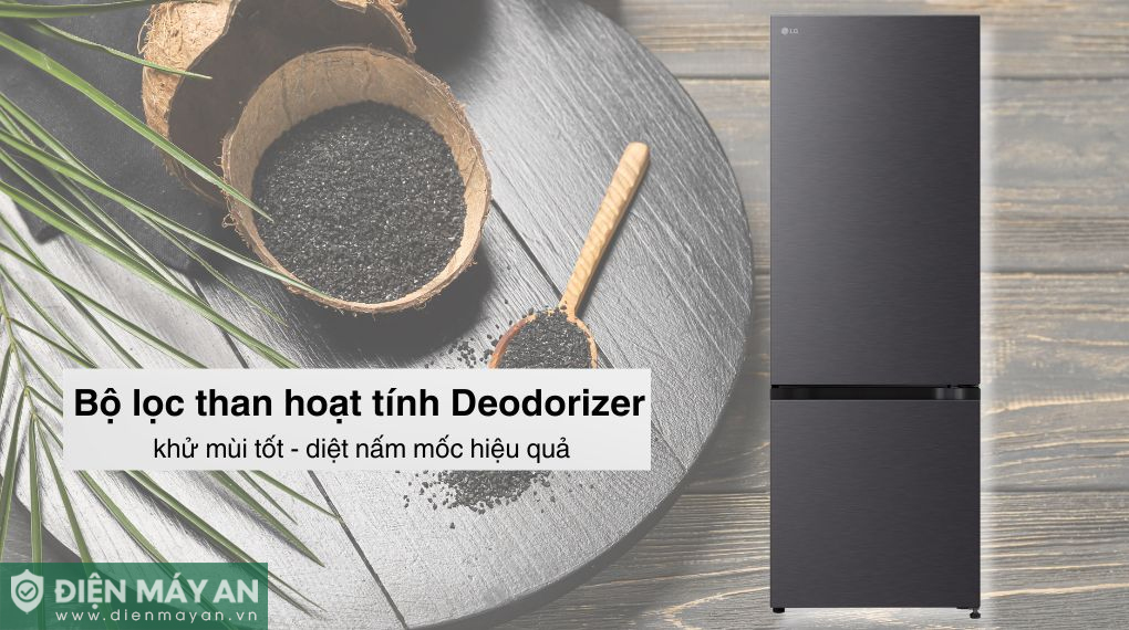 Tủ lạnh LG Inverter 335 lít LBB33BLM